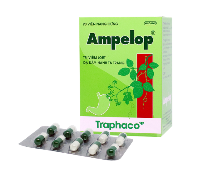Ampelop (H9*10viên)