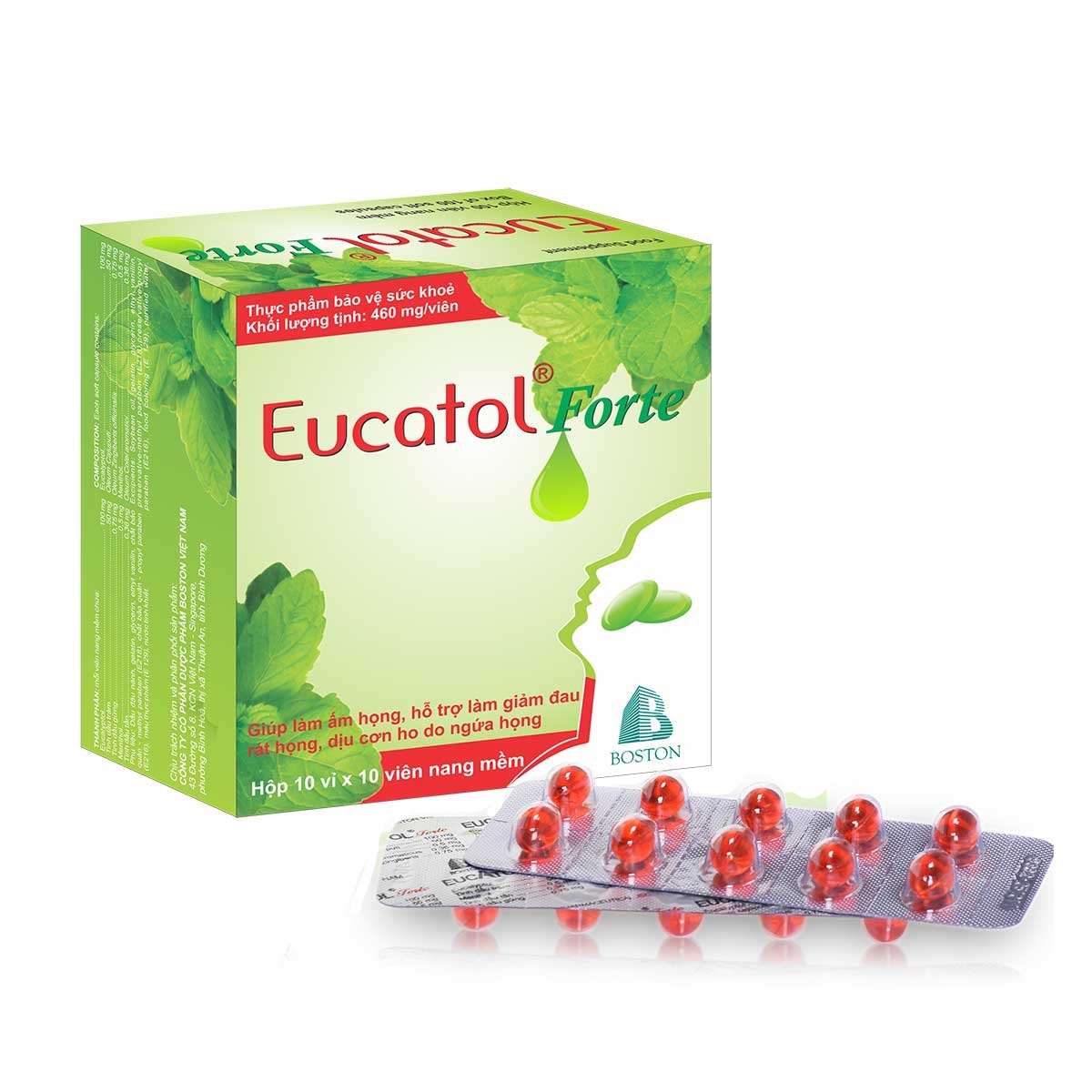 Eucatol Forte (H10*10viên)