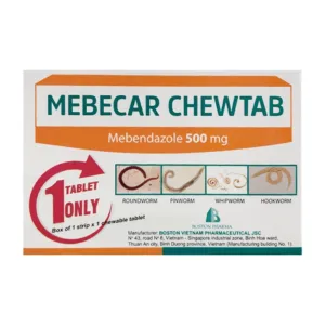 Mebecar Chewtab (H1 viên) Boston