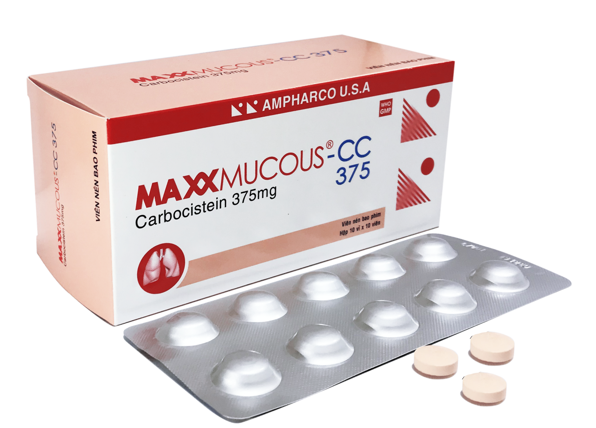 Maxxmucous CC 375mg (H10*10 viên) Ampharco