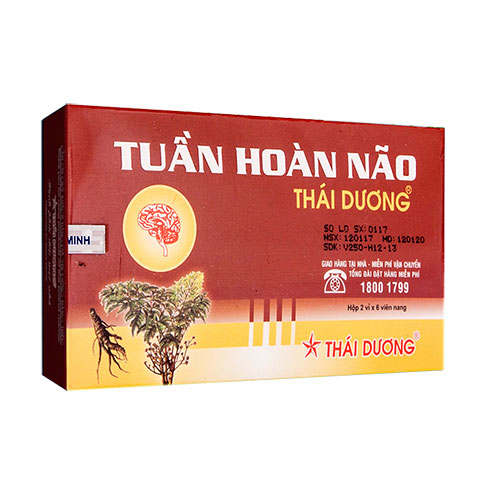Tuần hoàn não Thái Dương (H2*6 viên)